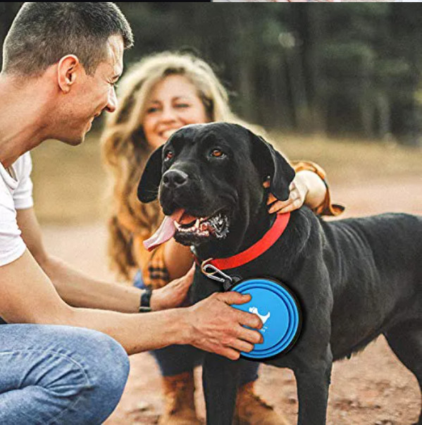 TPE Rubber Slow Feeder Dog Bowl Collapsible Silicone Portable Foldable Raised Dog Bowls