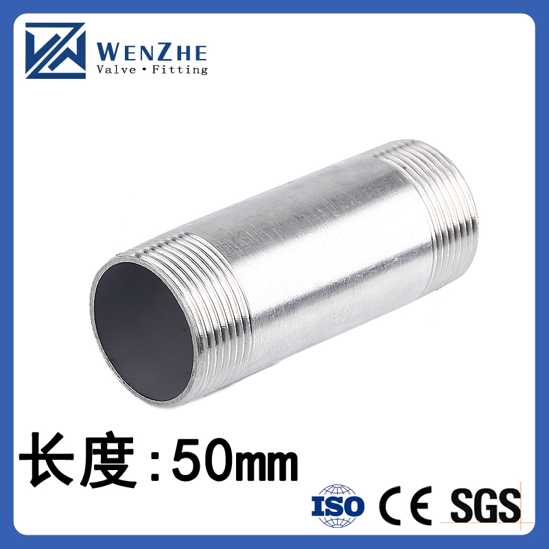 Stainless Steel SS304/SS316 Pipe Male Thread Coupling Customized for ODM Requirements