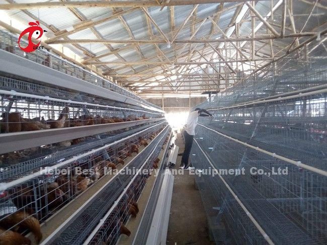 5 Tier 200 Birds Galvanized Poultry Layer Cage System For Chicken Farm Sandy