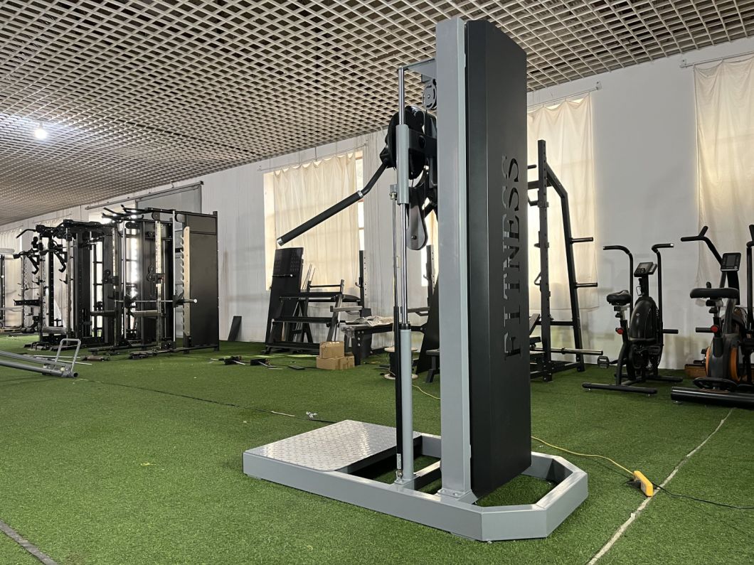 Strength Machine/High Quality Commercial Gym Equipment Side Raise
