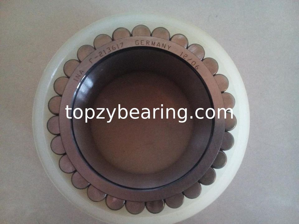 F213617 Full Complement Bearing Cylindrical Roller Bearing F-213617.RNN Gearbox Bearing Size 55x77.07x41mm
