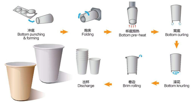 Stable Fully Automatic Paper Cup Machine For Disposable Tea And Coffee Cups