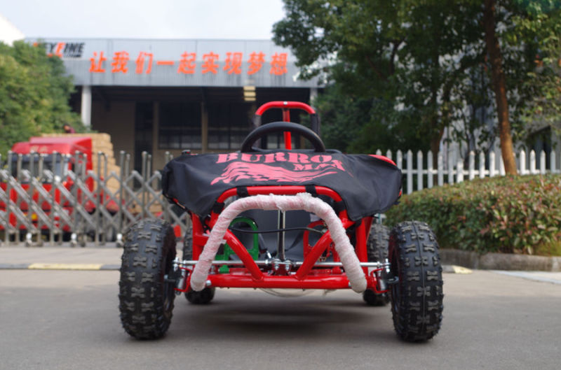 Hot Spring 2017 Kids Use Mini Go Kart