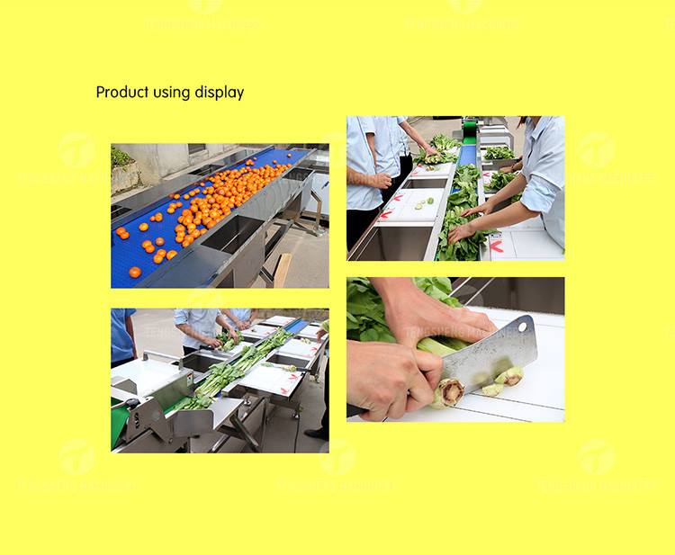 Meat Vegetable Fruit Sorting Table Food Machine SS304 Z Type Structure