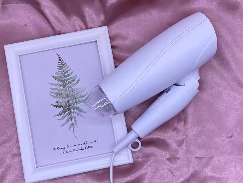 Lightweight 1000w Hair Dryer Compact For Professional Precision Styling