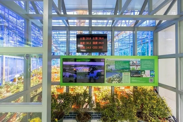 Hydroponics Stromal Humidity Control Multi-Span Seedling Glass Greenhouse