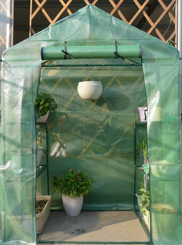 PE tarpaulin garden greenhouse for protection plants in freezer cold weather