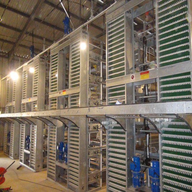 H Type Automatic Egg Layer Chicken Farm Cage Cold Galvanized