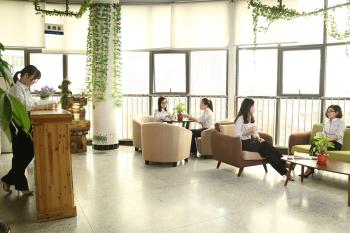 Gester International Co., Ltd