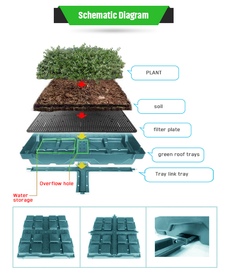 Plastic Green Roofs Rectangle Garden Tray 500x500mm for 4 Square Units and Flower Pot