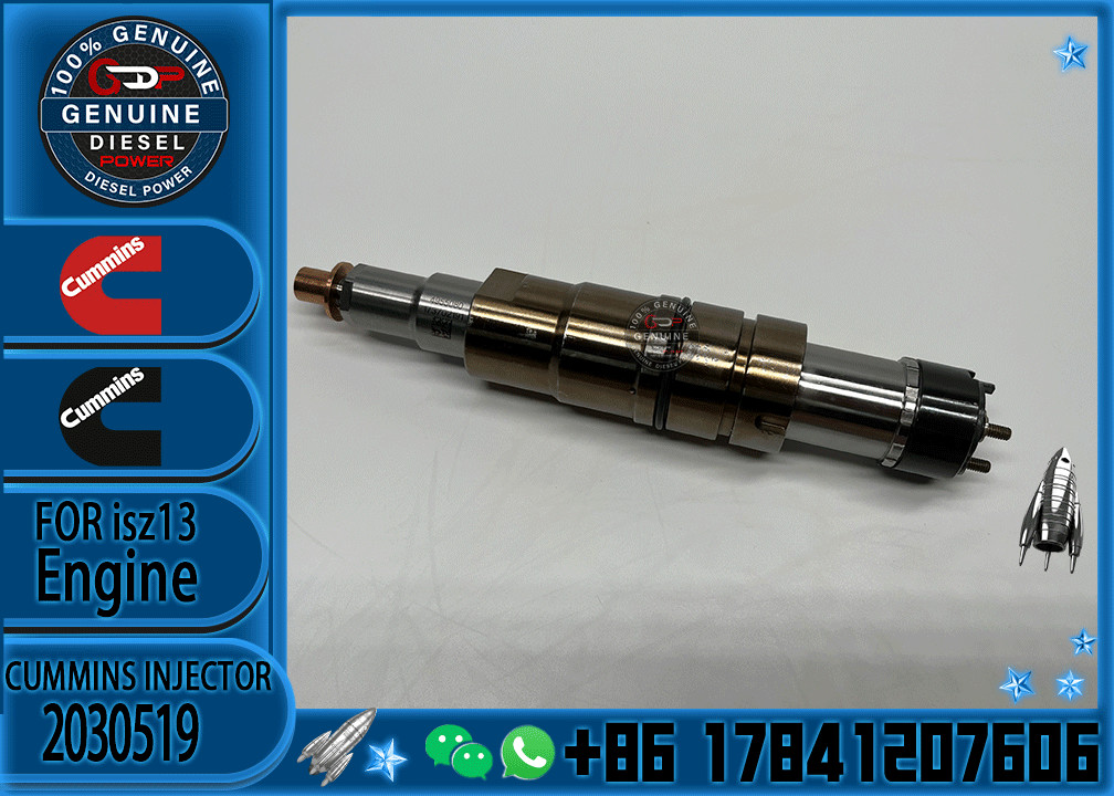 2029622 Genuine Diesel Common Rail Fuel Injector 1948565 2030519 2031836 2031835 2086663