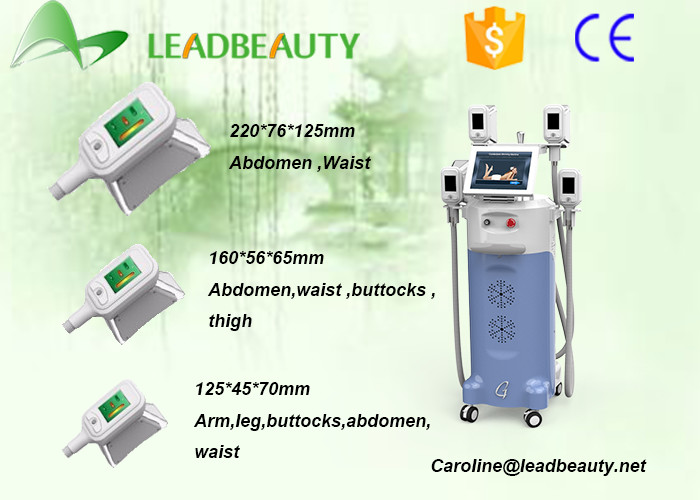 Beijing supplier / cryolipolysis slimming equipment /cryolipolysis slimming machine