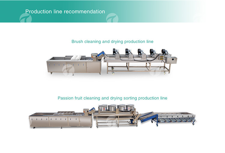 Drying Sorting Circulating Surfing Fruit And Vegetable Processing Line Apple Tengsheng