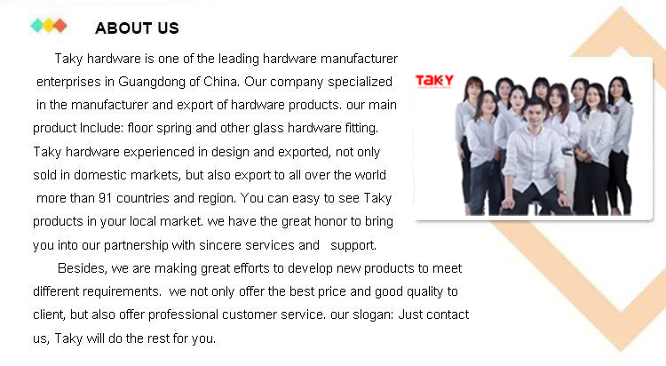 Aluminum Hotel Door Concealed Hydraulic Door Closer Hinge Hidden Floor Spring TK-H013M