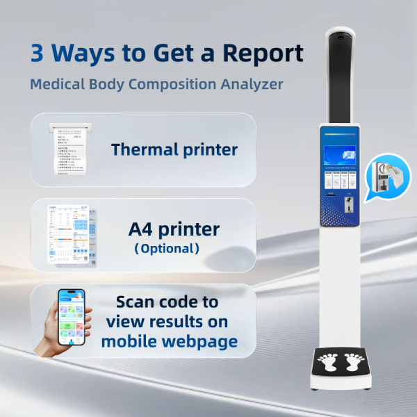Commercial Outdoor Coin Operated Weighing Scale Body Composition Fat Scale Height and Weight Balance Operad OEM BMI