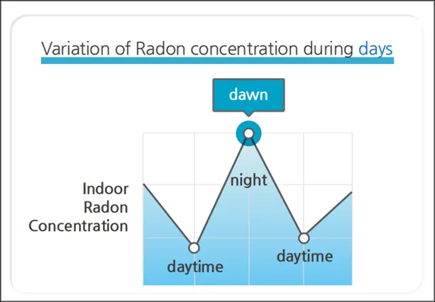 Radon Monitor RN-PRO 200 Portable Gas Detector For Home Safety Customization