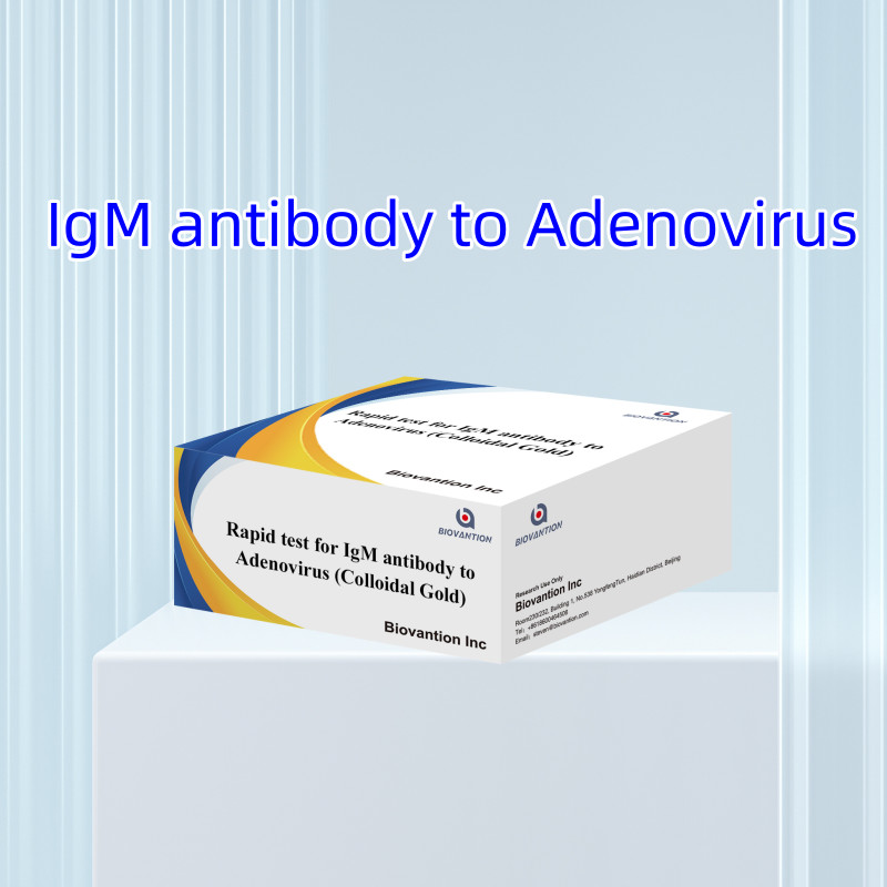 Highly Sensitive Adenovirus IgM Rapid Test Colloidal Gold Rapid Test For Medical Professionals