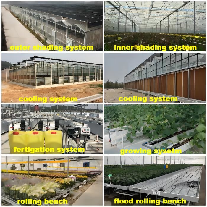 Farm Agriculture Greenhouse Equipments Multi Span Glass Inner Outer Shading System