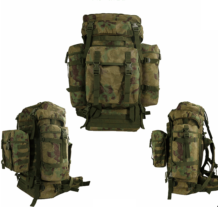Waterproof 80L Professional Mountaineering Backpack for Large Capacity Outdoor Camping