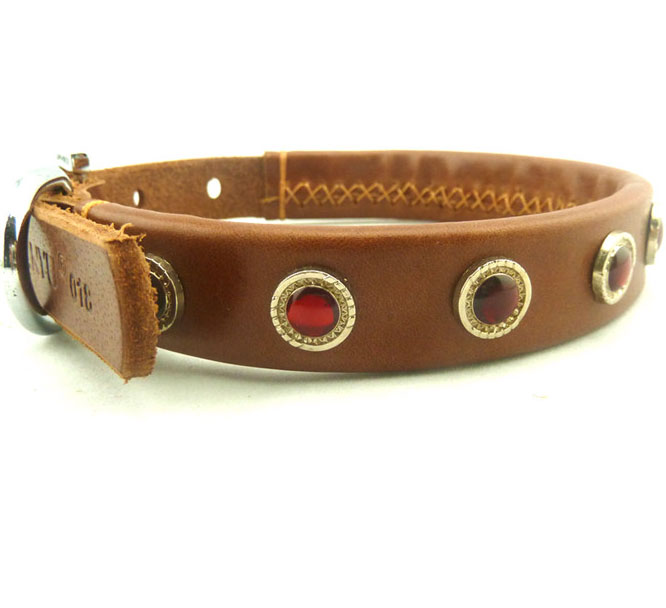 Diamond Dog Neck Belts / Collars / Straps, dog collar