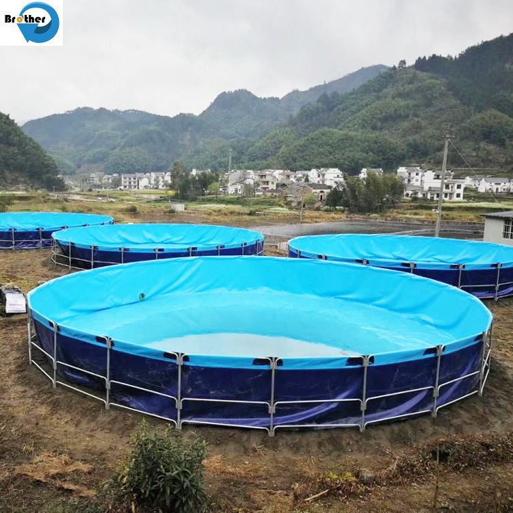 High strength plastic fish farm tank for fish keeping