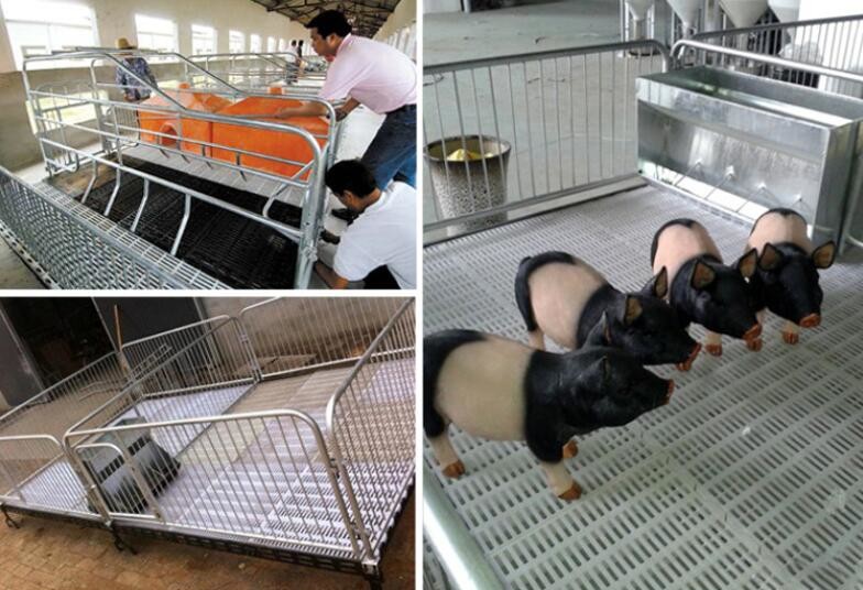 Farming 200kgs Plastic Slatted Goat Flooring Poultry 500mm