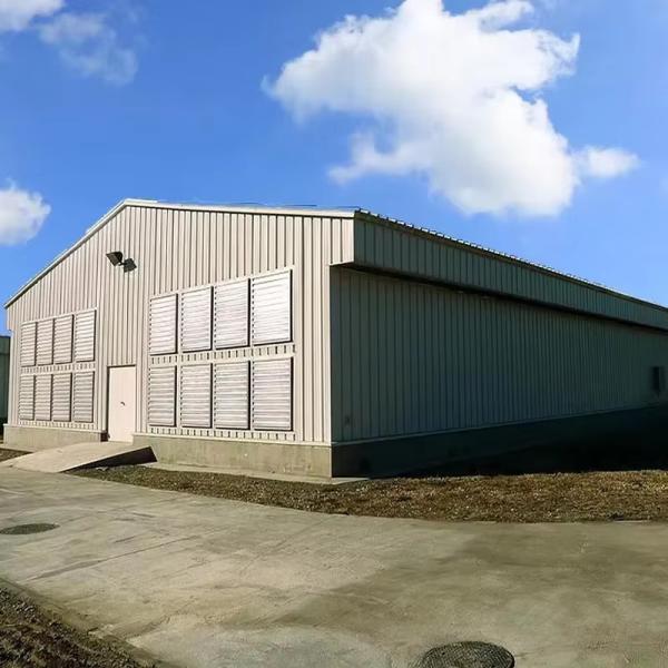 Customized Color Steel Structure Shed Construction Graphic Design For Poultry