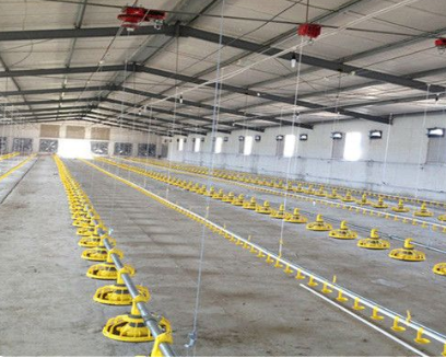 Safety Steel Structure Chicken House Lightweight Steel Frame Building