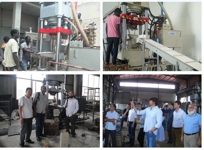 100tons Hydraulic Press For Animal Licking Block / Animal Mineral Salt Lick Block Press Machine For Animal Feeding​