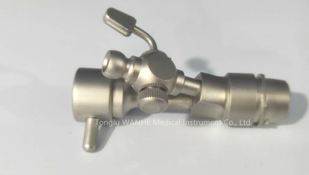 Cystoscopy Endoscope Bridge for Biopsy Forceps
