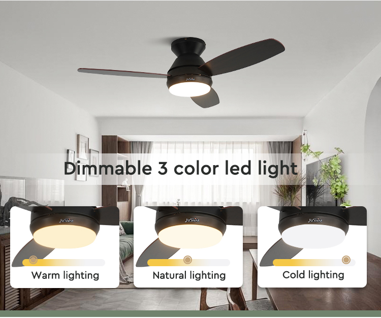 ceiling fan