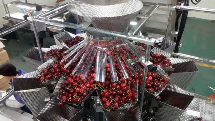 SS304 Plastic Box Packing Machine