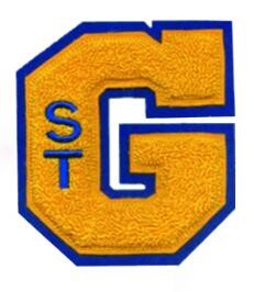 Custom embroidery chenille Hot Selling Promotion Custom Patch Embroidery patches for clothing