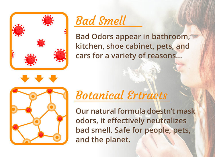 Customized Bottle Air Freshener Home Fragrance Natural Room Spray