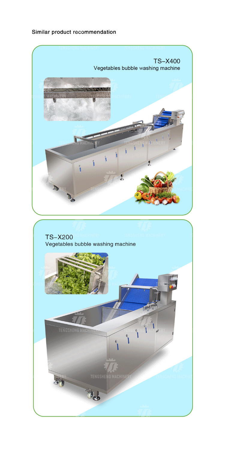 2.6KW Fruit and vegetable cleaning and processing equipment automatic washing machine conveyor belt bubble cleaning mach
