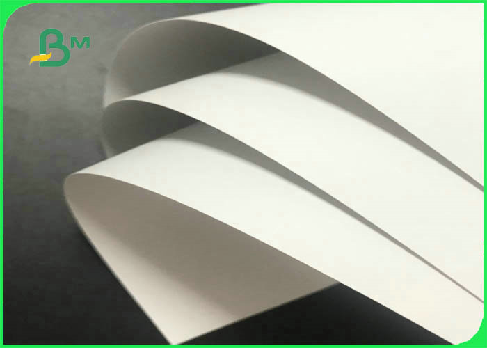 absorbent paper 