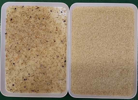 Remote Control 5400Pixel CCD Rice Color Sorter