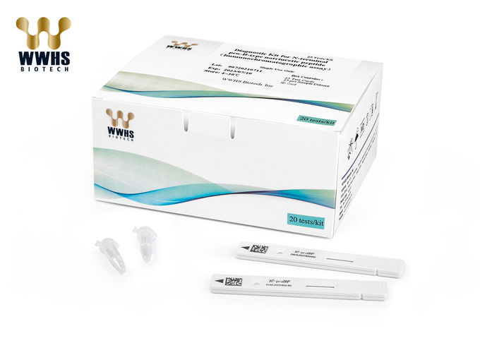 NT-ProBNP Cardiac Testing Kit High Accuracy FIA POCT For Heart Failure Detection