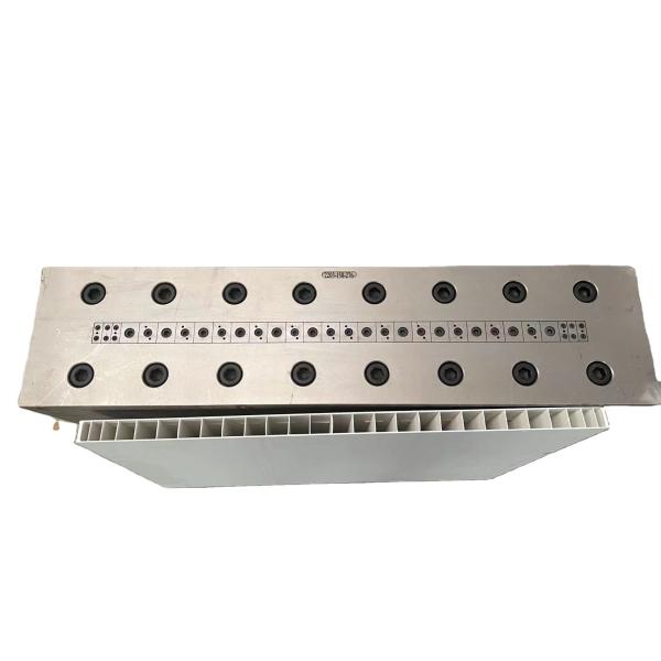 Electroplating Polishing Treatment 3CR17 UPVC Hollow Panel Mold for Door and Wall Panel