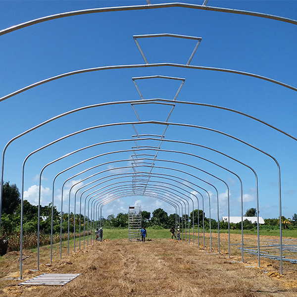 Wind Resistant No Welding Single Span Greenhouse With Umbrella Shape Roof 60mm Columns