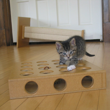 Wooden Square Cat Puzzle Toy Box , Interactive Cat Toys Treasure Hunt