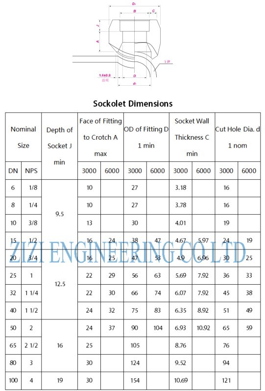 6 " X 2 " Class 6000 Socket Weld Pipe Fittings , ASTM A182 F5 Industrial Pipe Fittings