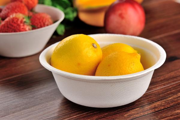 Quality Round Compostable Bagasse Bowls Biodegradable Disposable Sugarcane for sale