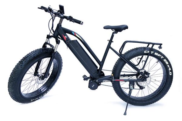 High Speed 48v 1000w Bafangcentral motor Mountain Electric Fat Bike with front