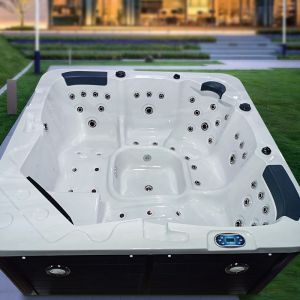 6 Persons Outdoor Hot Tub Swim Spa Massage With Dvd Player
