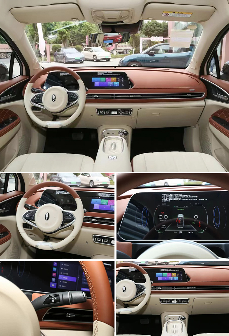 Electric Parking Brake 2024 Great Wall Ora Good Cat Car with Car Entertainment System