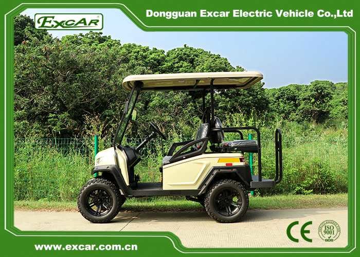 Electric 2 Seats Golf Cart Hunting Buggies With Flip Seats