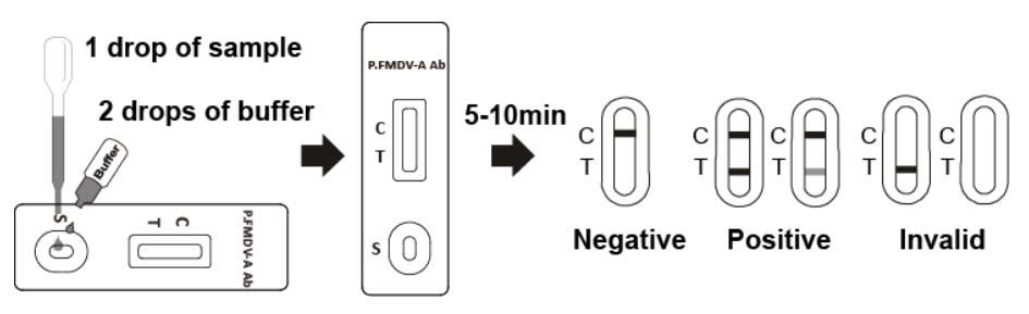 10pcs Porcine Test Kit Foot And Mouth Disease Virus A Antibody Test