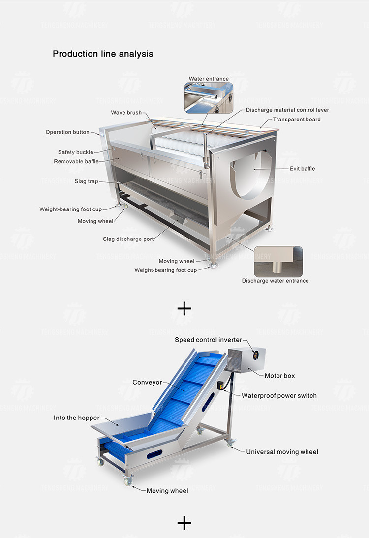 SS304 Fruit And Vegetable Processing Line For Central Kitchens