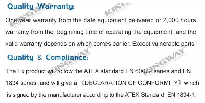ATEX Zone 2 Temp Class T3 Diesel industrial Generator Set Explosion Proof 250KVA